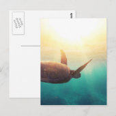 Meeresschildkröte - Unterwasserfotografie Postkarte (Vorne/Hinten)