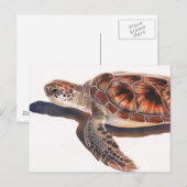 Meeresschildkröte Wildlife Postkarte (Vorne/Hinten)