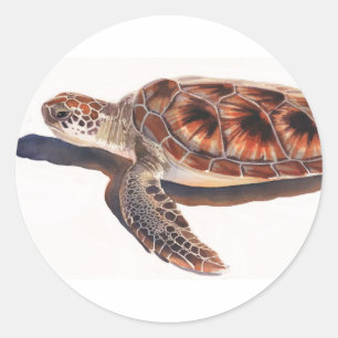 Meeresschildkröte Wildlife Runder Aufkleber