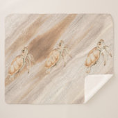 Meeresschildkröten am Strand Sherpadecke (Vorderseite (Horizontal))