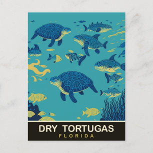 Meeresschildkröten bei Dry Tortugas FL, Reisen Postkarte