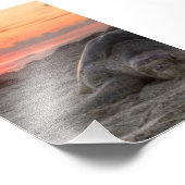 Meeresschildkröten bei Sunset Fotodruck (Ecke)