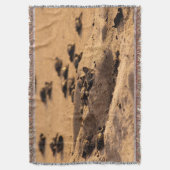 Meeresschildkröten Decke (Vorderseite Vertikal)