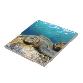 Meeresschildkröten entspannen unter Wasser im trop Fliese (Seite)