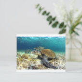 Meeresschildkröten entspannen unter Wasser in trop Postkarte (Stehend Vorderseite)