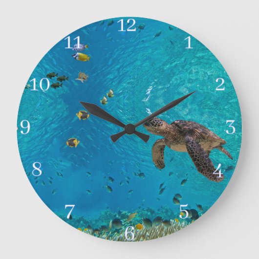 Meeresschildkröten Große Wanduhr (Vorderseite)