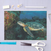 Meeresschildkröten im blauen Ozean und im Leben de Seidenpapier (Handwerk)