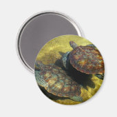 Meeresschildkröten Magnet (Vorderseite/Rückseite)