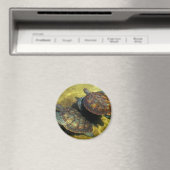 Meeresschildkröten Magnet (In Situ (Geschirrspüler))