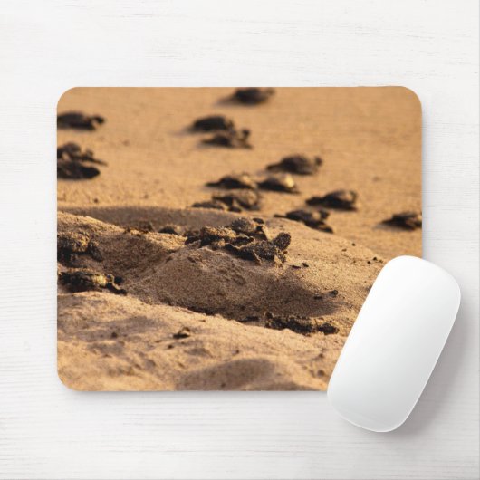 Meeresschildkröten Mousepad (Mit Mouse)