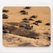 Meeresschildkröten Mousepad (Vorne)