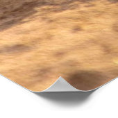 Meeresschildkröten Poster (Ecke)