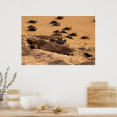 Meeresschildkröten Poster (Küche)