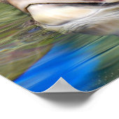 Meeresschildkröten-Poster Poster (Ecke)