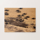 Meeresschildkröten Puzzle (Horizontal)