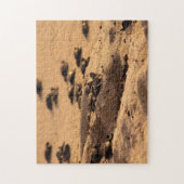 Meeresschildkröten Puzzle (Vertikal)