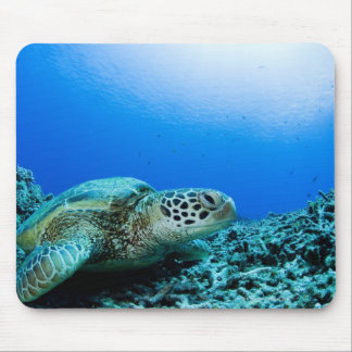 Meeresschildkröten ruhen unter Wasser Mousepad