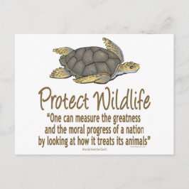 Meeresschildkröten schützen postkarte