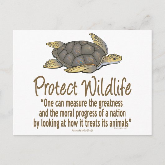 Meeresschildkröten schützen postkarte (Vorderseite)