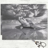 Meeresschildkröten-Schwarz-Weiß-Decoupage Seidenpapier