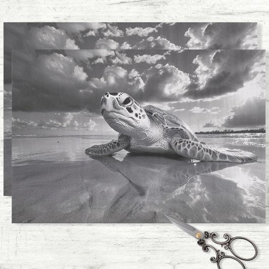 Meeresschildkröten-Schwarz-Weiß-Decoupage Seidenpapier