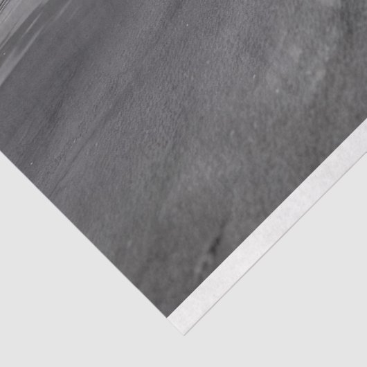 Meeresschildkröten-Schwarz-Weiß-Decoupage Seidenpapier (Ausschnitt)