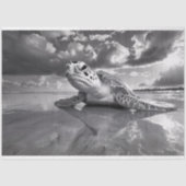 Meeresschildkröten-Schwarz-Weiß-Decoupage Seidenpapier (Vorderseite)