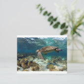 Meeresschildkröten schwimmen in der paradiesischen postkarte (Stehend Vorderseite)