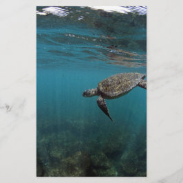 Meeresschildkröten schwimmen unter Wasser Galapago