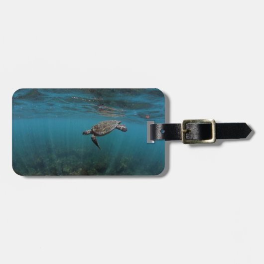 Meeresschildkröten schwimmen unter Wasser Galapago Gepäckanhänger (Vorderseite horizontal)