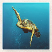 Meeresschildkröten schwimmen unter Wasser Glasuntersetzer (Vorderseite)