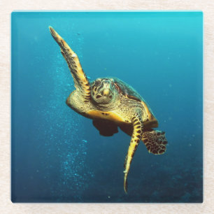 Meeresschildkröten schwimmen unter Wasser Glasuntersetzer