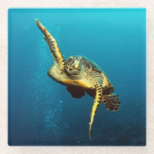 Meeresschildkröten schwimmen unter Wasser Glasuntersetzer (Vorderseite)