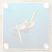 Meeresschildkröten schwimmen unter Wasser Glasuntersetzer (Rückseite)