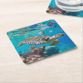 Meeresschildkröten und Fische Rechteckiger Pappuntersetzer (angewinkelt)