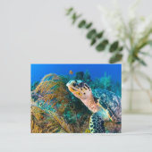 Meeresschildkröten und Pflanze unter Wasser, Fisch Postkarte (Stehend Vorderseite)