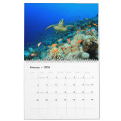 Meeresschildkröten und -schildkröten kalender (Feb 2026)