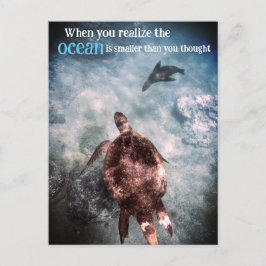 Meeresschildkröten und Seelöwen unter Wasser Feiertagspostkarte