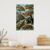 Meeresschildkröten und Tortoises von Ernst Haeckel Poster (Küche)