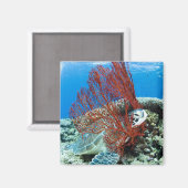 Meeresschildkröten unter Wasser 2 Magnet (Vorderseite/Rückseite)
