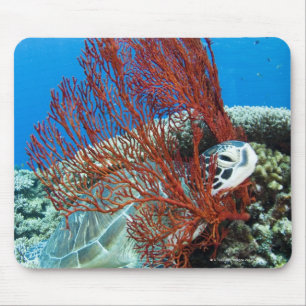 Meeresschildkröten unter Wasser 2 Mousepad