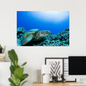 Meeresschildkröten unter Wasser 2 Poster (Heimbüro)