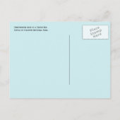 Meeresschildkröten, Unterwasser, Golf von Biskaya, Postkarte (Rückseite)