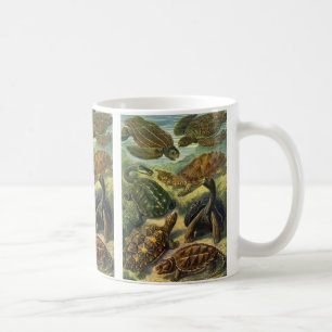 Meeresschildkröten Vintage Landschildkröte von Ern Kaffeetasse