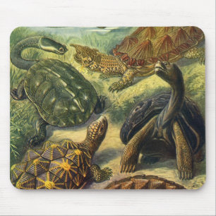Meeresschildkröten Vintage Landschildkröte von Ern Mousepad