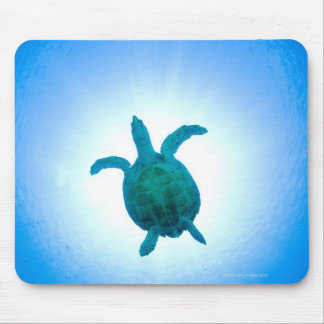 Meeresschildkrötenschwimmen unter Wasser Mousepad
