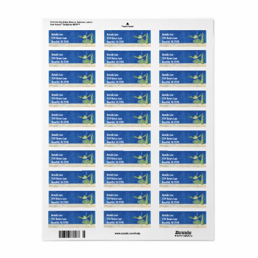 Meeresschildkrötenstrand unter der Meeresadresse (Vorne)