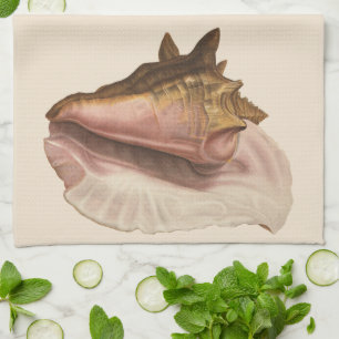 Meeresschnecke Königin Tritonschnecke Vintage Meer Geschirrtuch