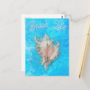 Meeresschnecke "Strandleben" Postkarte