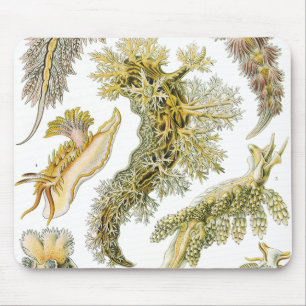 Meeresschnecken, Schnecken von Ernst Haeckel, Vint Mousepad